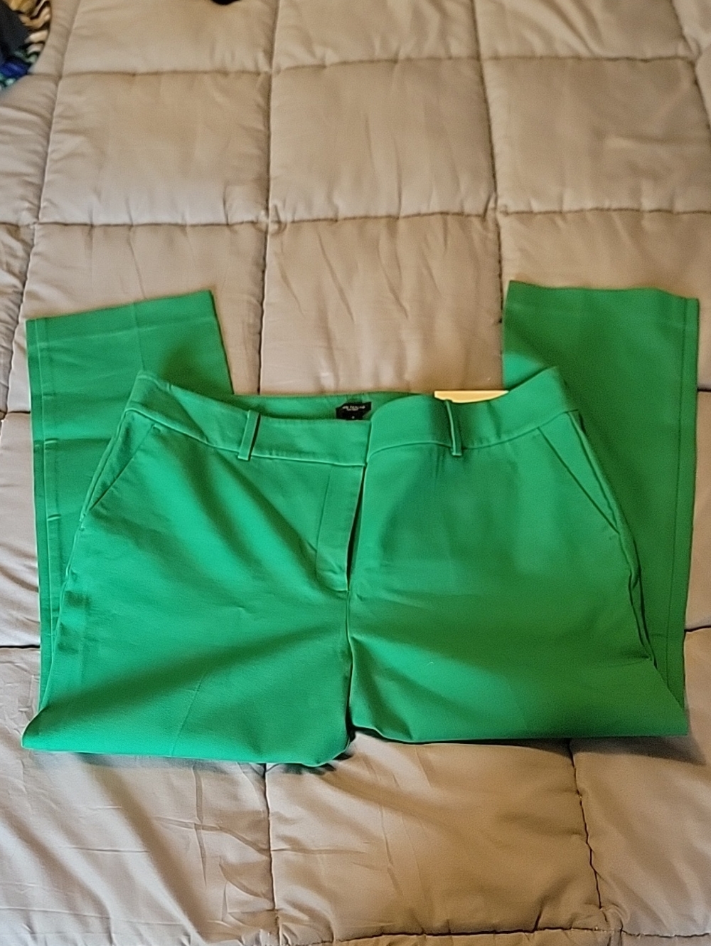 Ann Taylor Factory Bright Emerald Ankle Length Pants